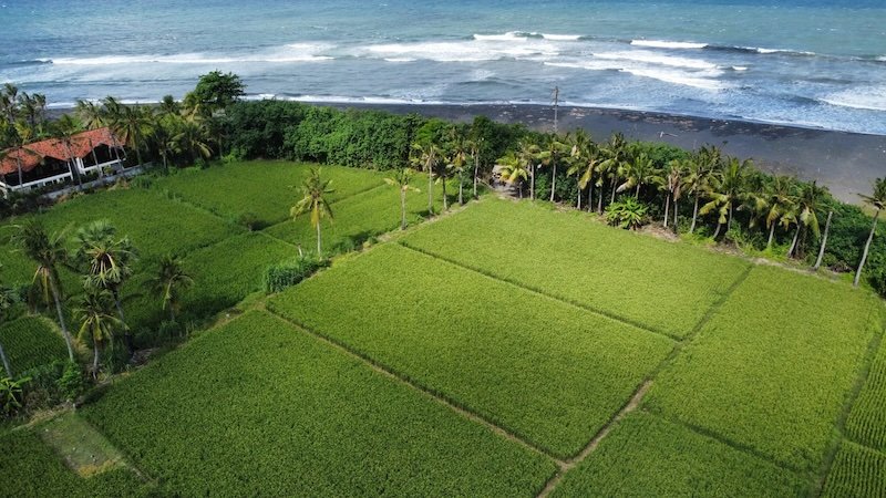 authentic ubud surf school hidden spot